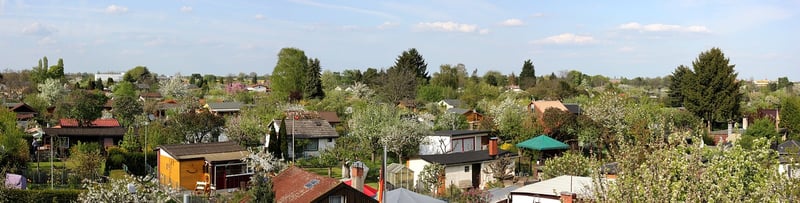 Community Allotments